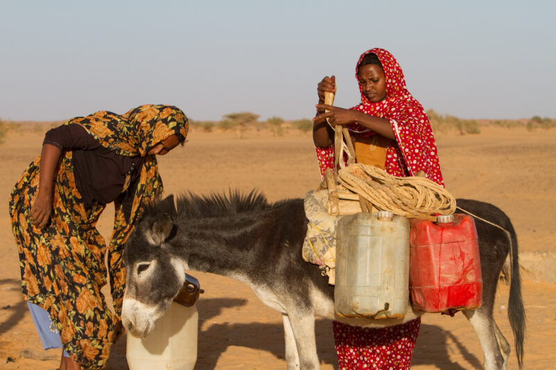 Collecting Water — Africa, Sudan, water, collecting water