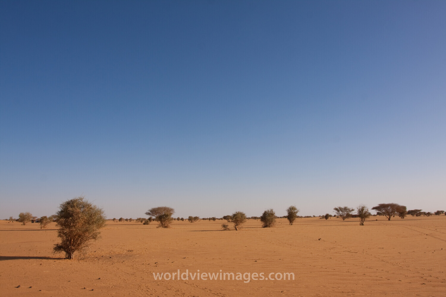 Desert in Sudan