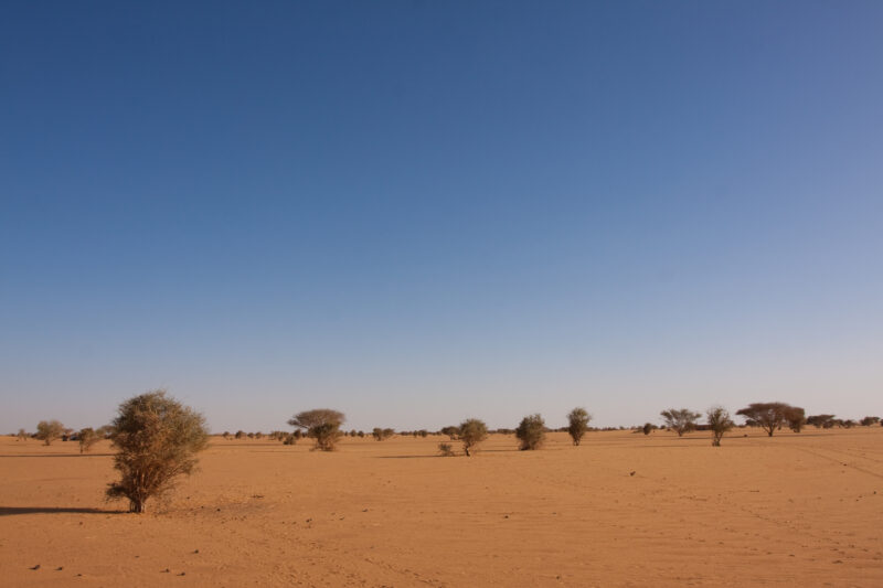 Desert in Sudan — Stock Images of dry desert region of Sudan — Africa, Sudan, dry, desert, sand