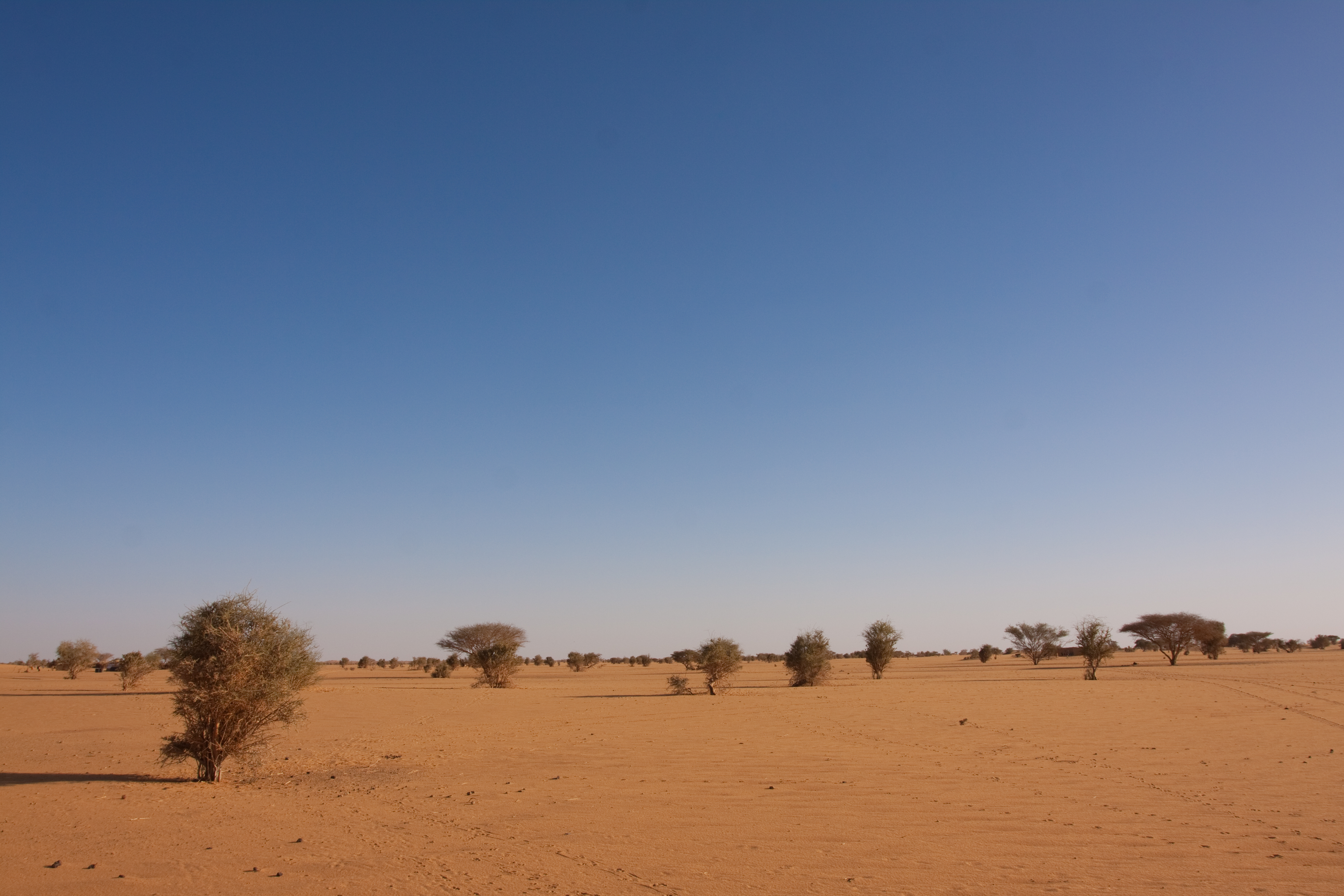 Desert in Sudan