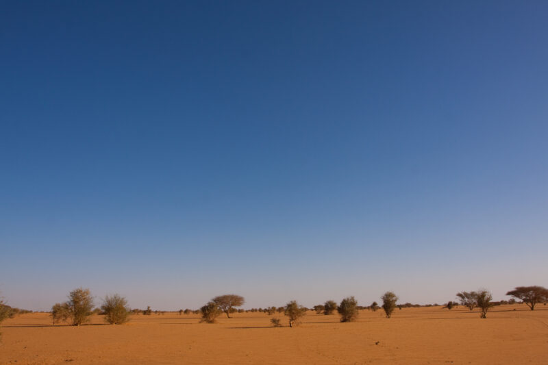 Desert in Sudan — Stock Images of dry desert region of Sudan — Africa, Sudan, dry, desert, sand