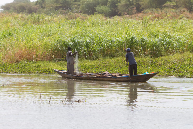 Fishing on the Nile — Men fish on the Nile River in Sudan. — Africa, Sudan, fishing, boat, men