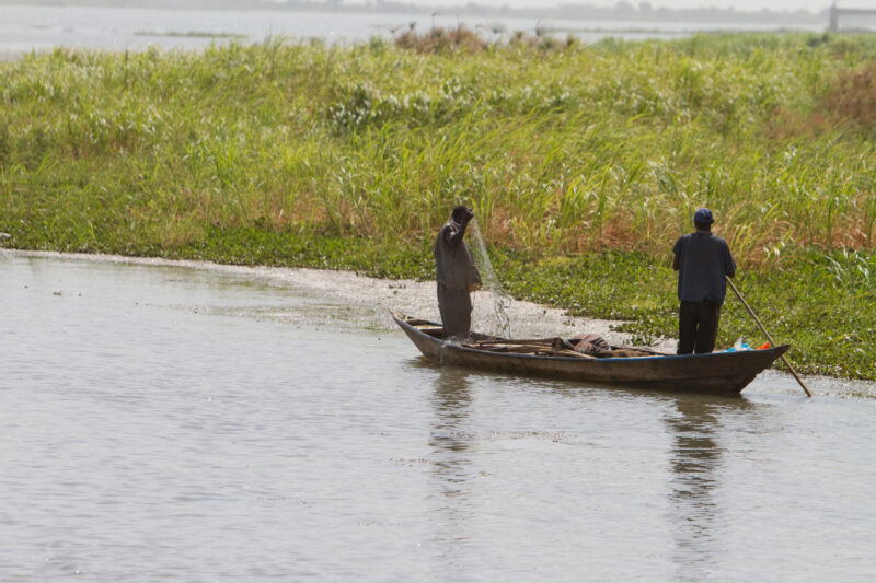 Fishing on the Nile — Men fish on the Nile River in Sudan. — Africa, Sudan, fishing, boat, men