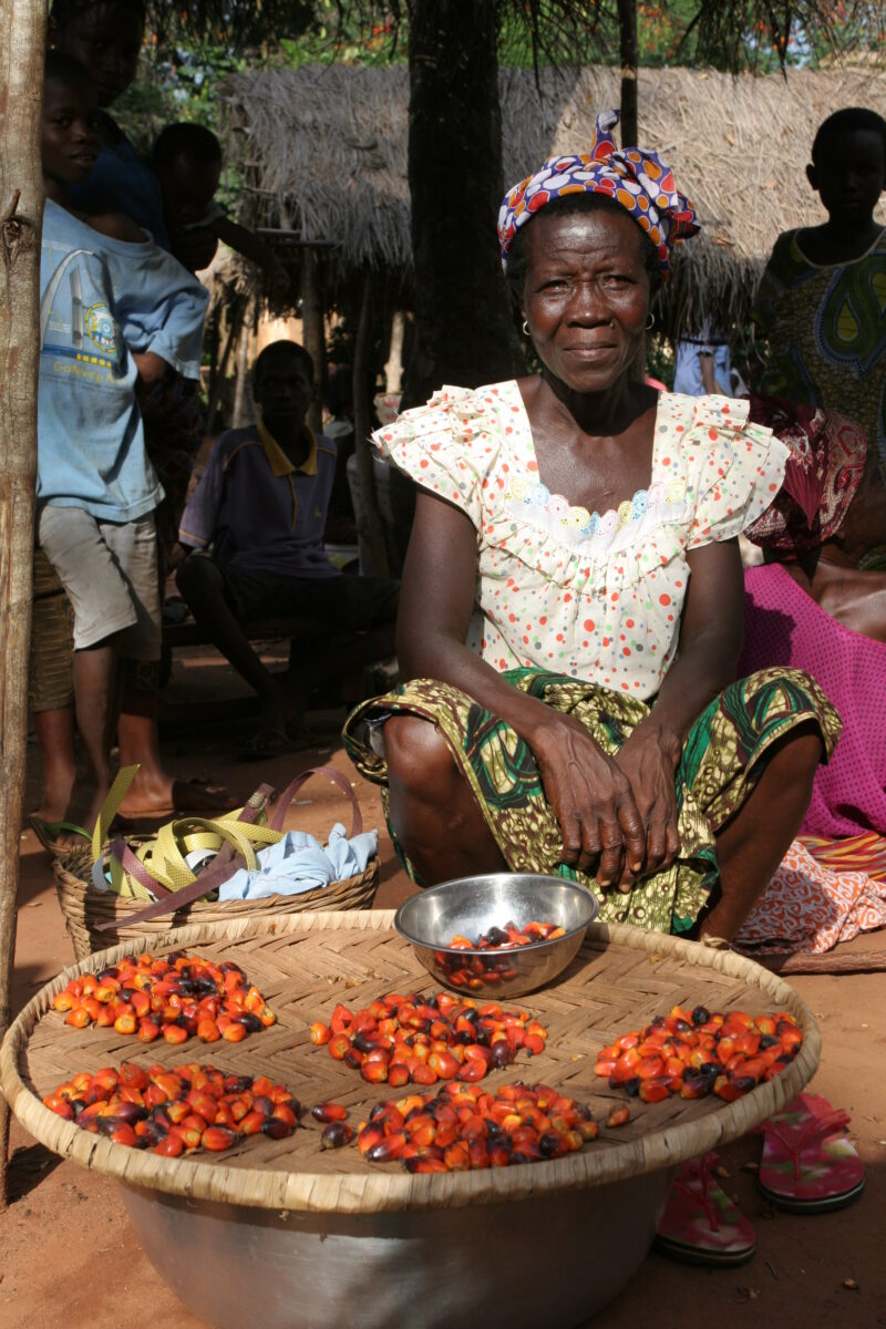 Market in Togo — Togo, Africa, West Africa