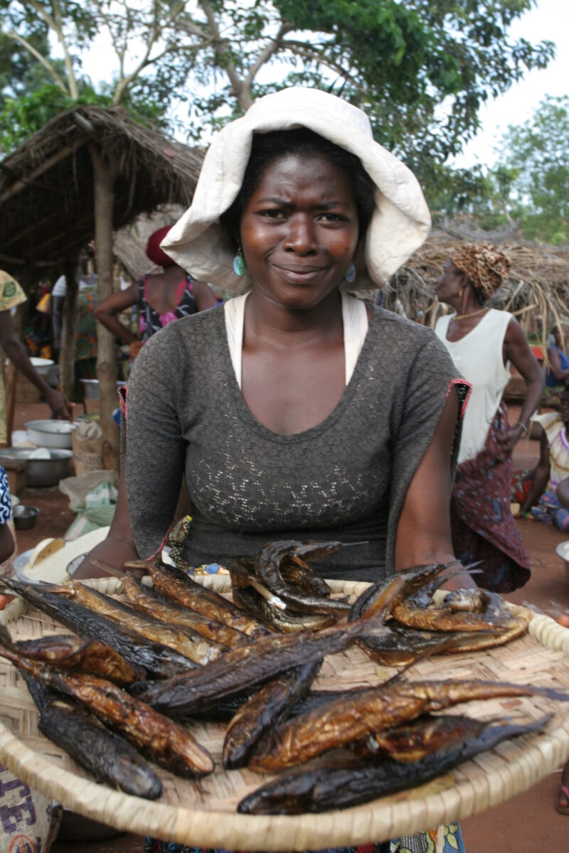 Fish at the Market in Togo, Africa — Togo, Africa, West Africa, faces, women