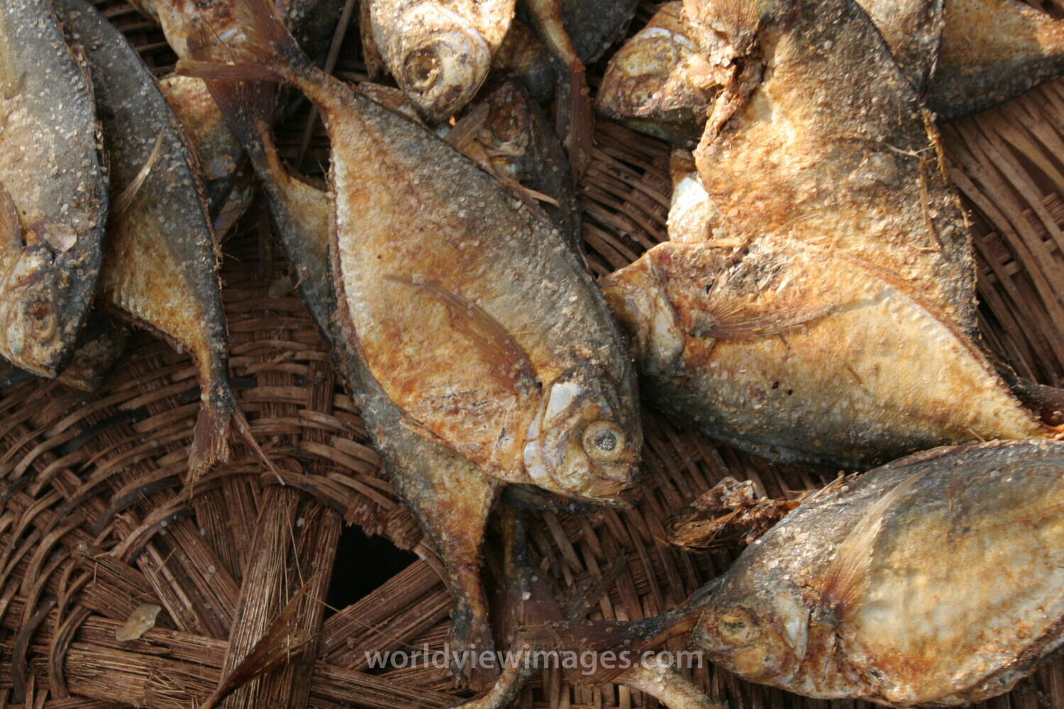Fish at the Market in Togo, Africa