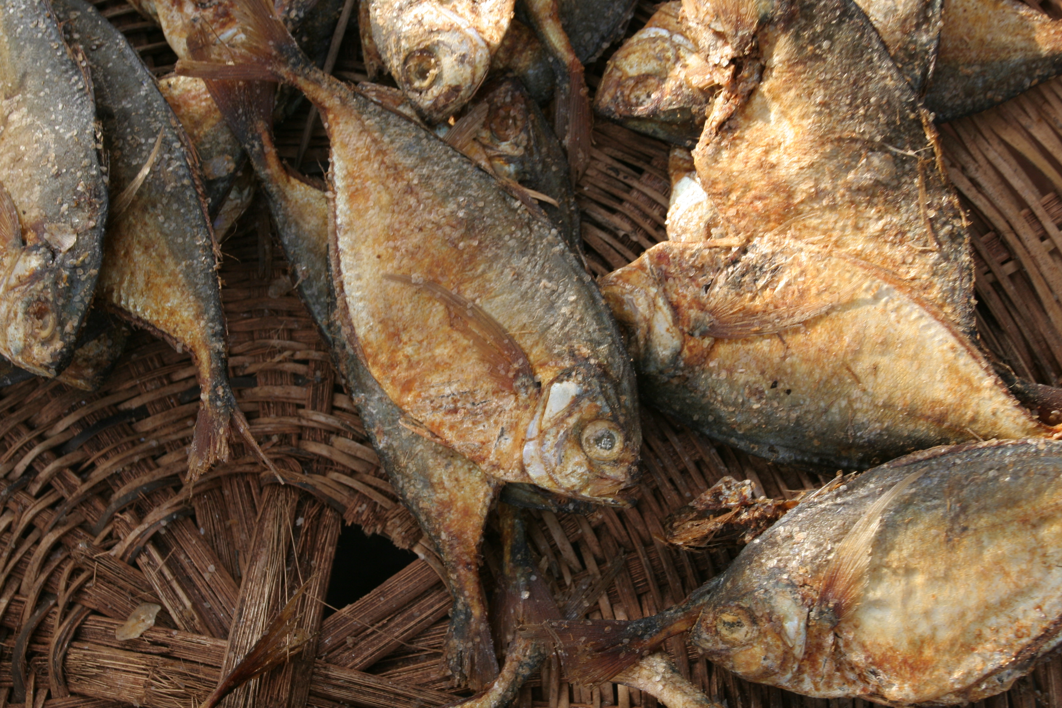 Fish at the Market in Togo, Africa