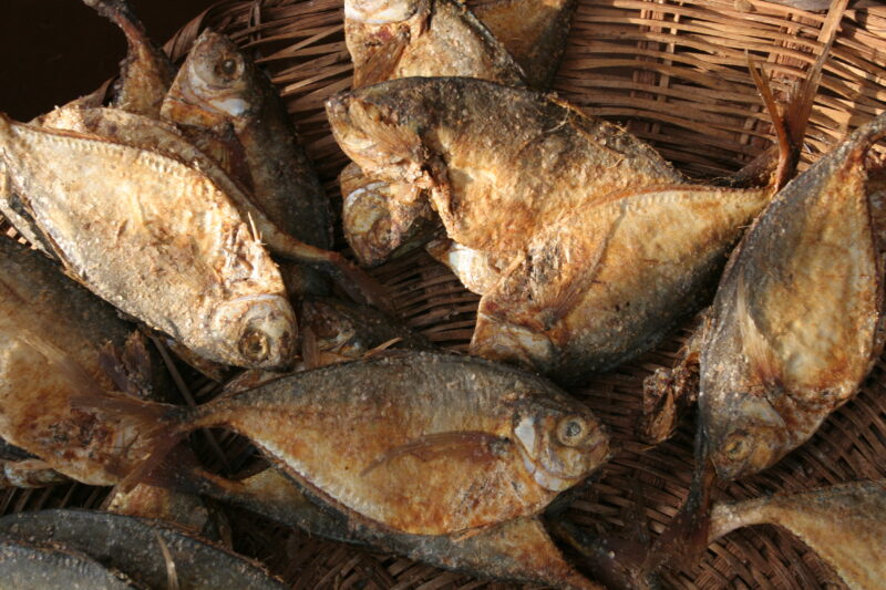 Fish at the Market in Togo, Africa — Togo, Africa, West Africa, fish
