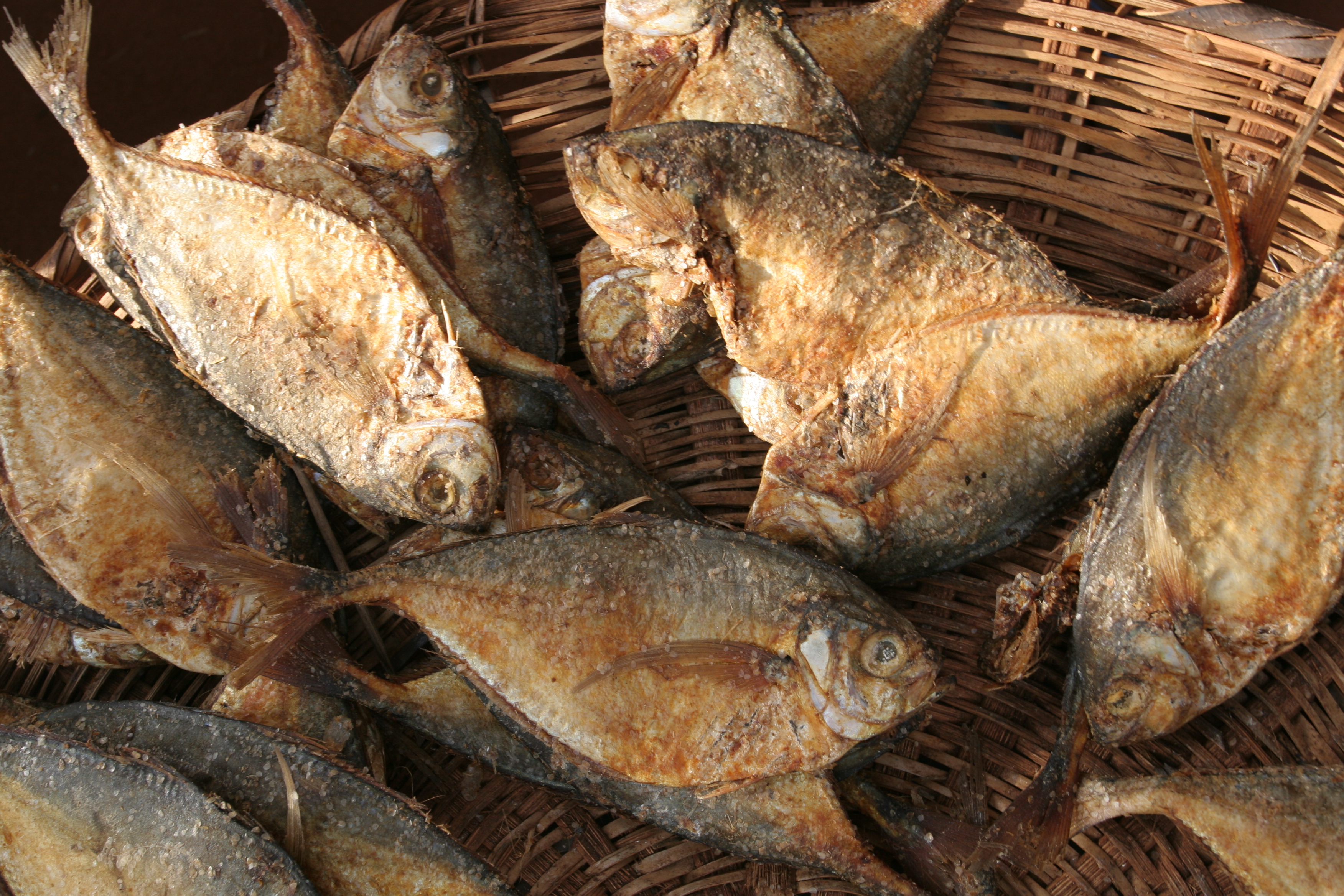 Fish at the Market in Togo, Africa