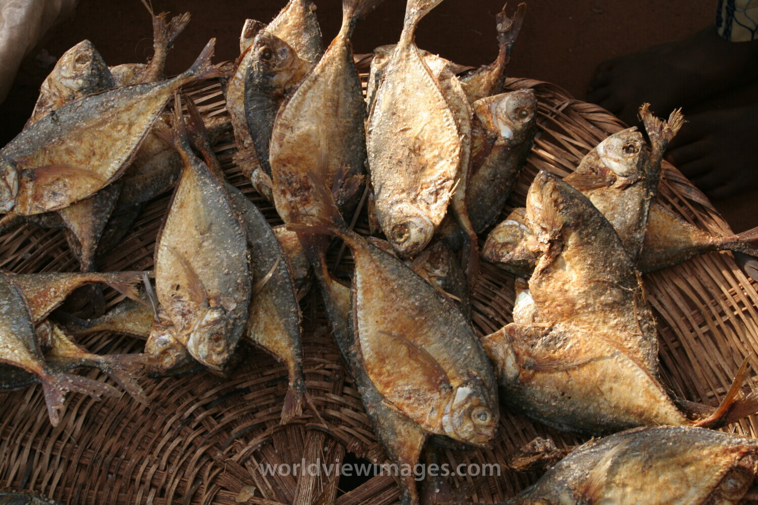 Fish at the Market in Togo, Africa