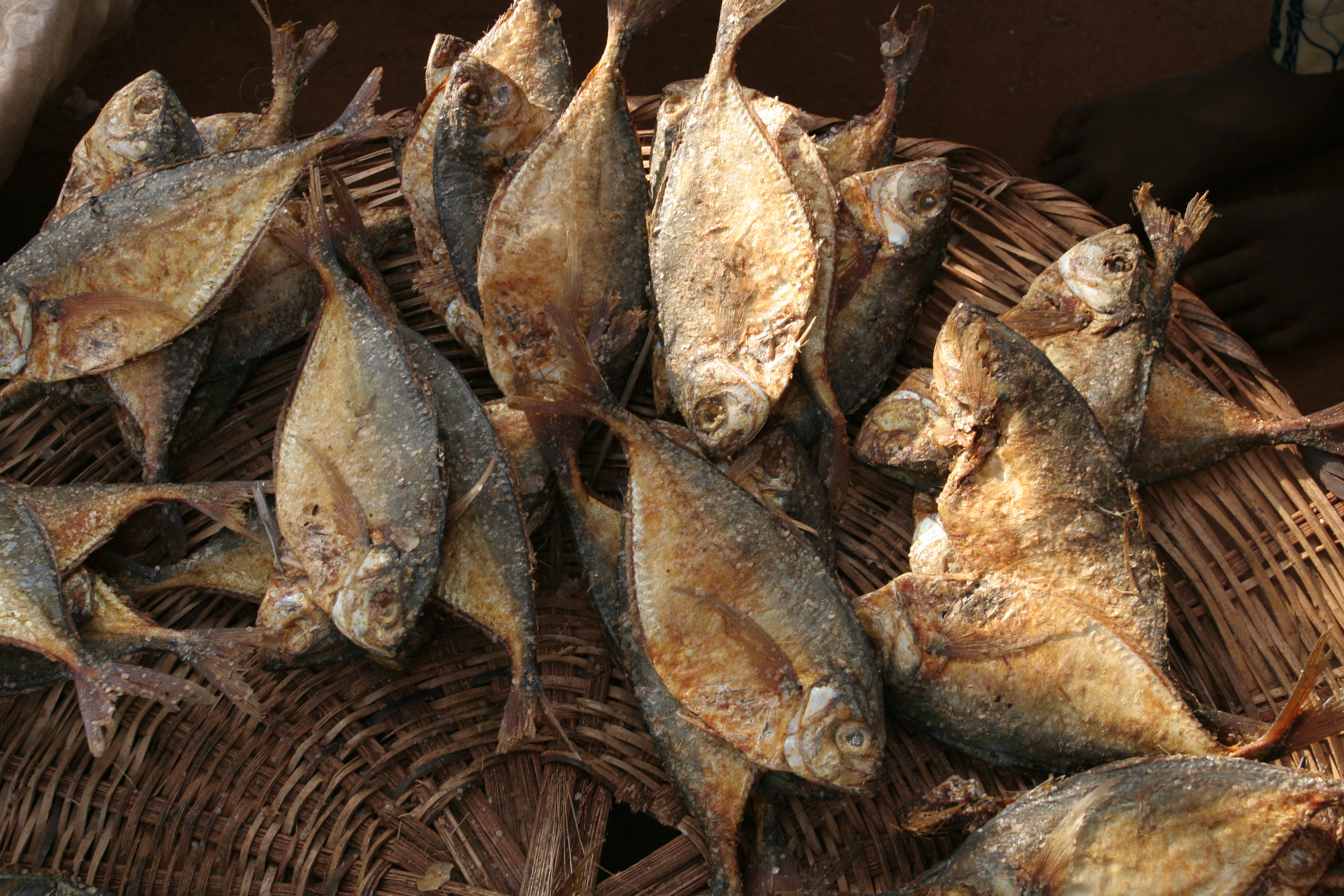 Fish at the Market in Togo, Africa