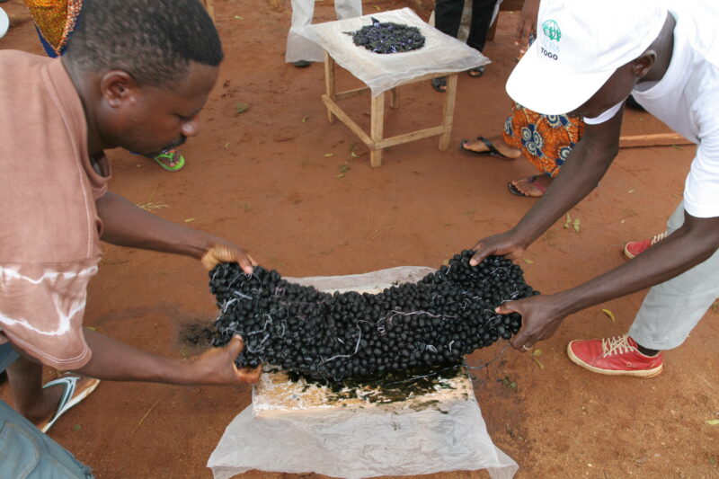 Tie Dye for Income — People in Togo learn how to do tie Dye to make income in West Africa — Togo, Africa, West Africa, men, faces