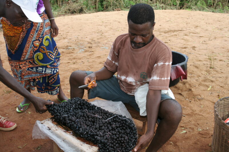 Tie Dye for Income — People in Togo learn how to do tie Dye to make income in West Africa — Togo, Africa, West Africa, men, faces