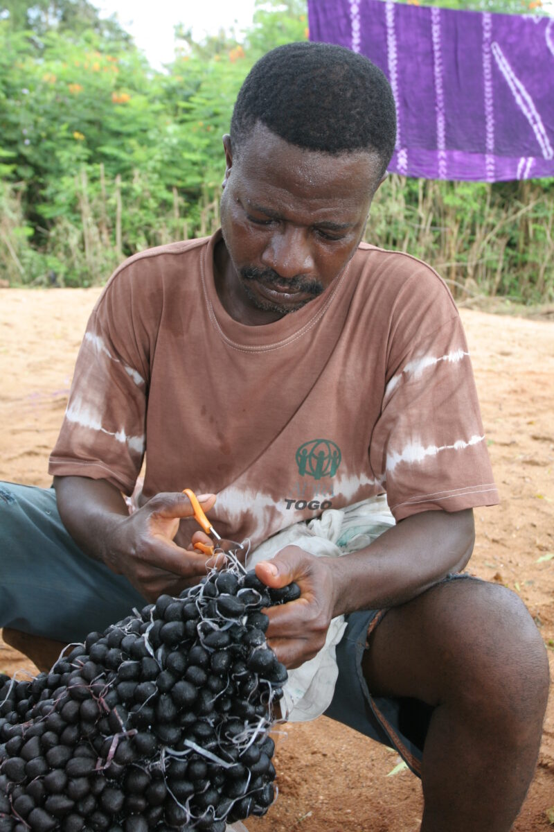 Tie Dye for Income — People in Togo learn how to do tie Dye to make income in West Africa — Togo, Africa, West Africa, men, faces