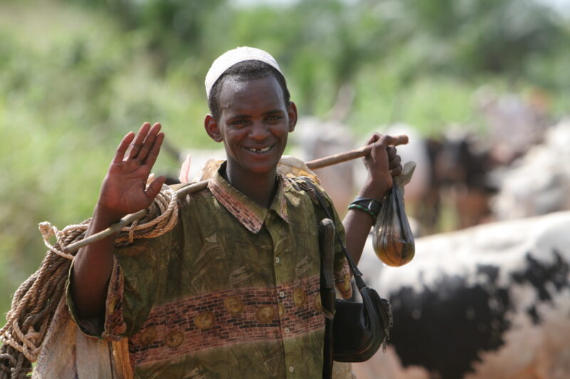 Cattle on the Move in Togo — Togo, Africa, West Africa, men, faces
