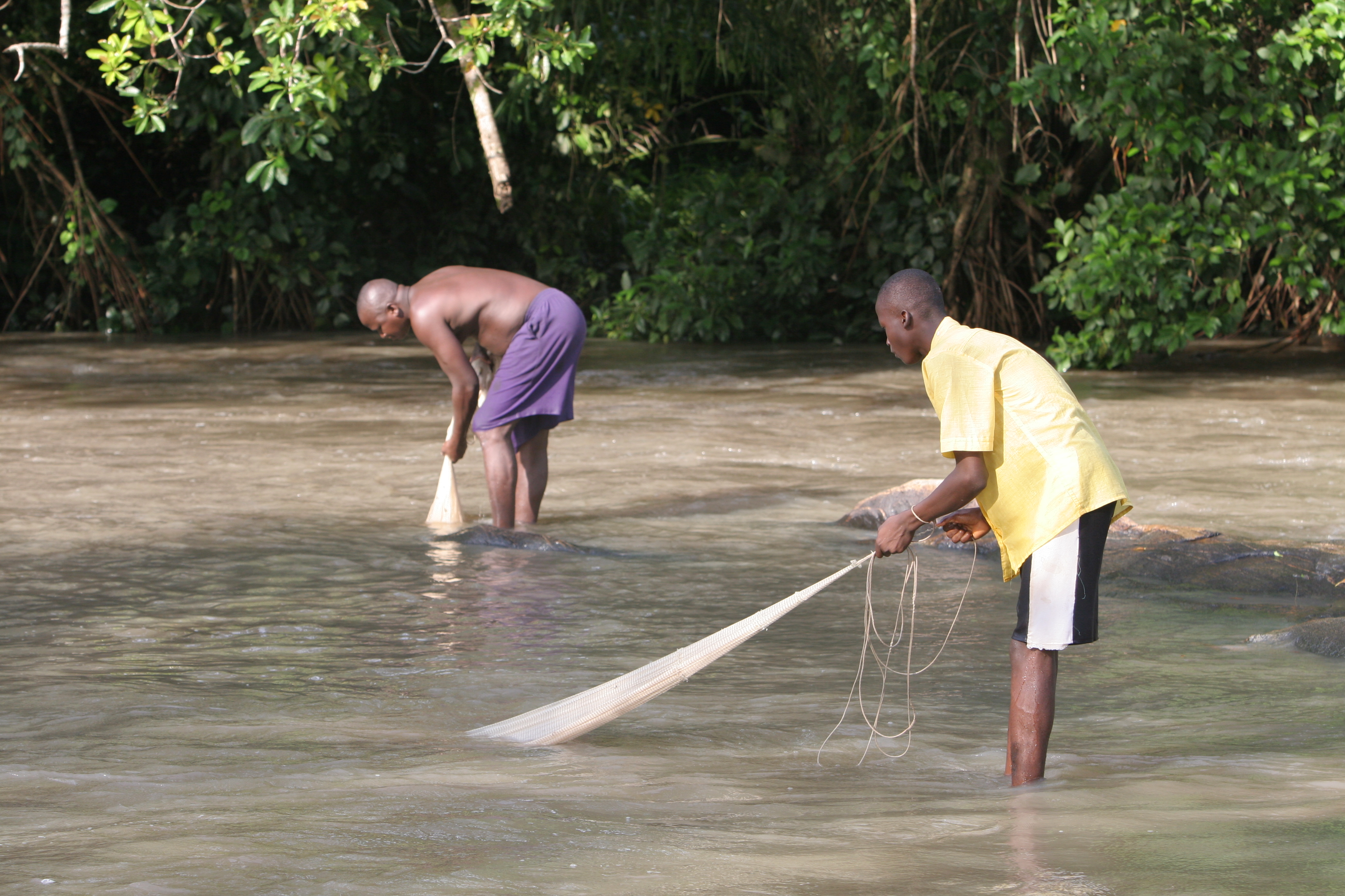 Net fishing in a  River in Togo