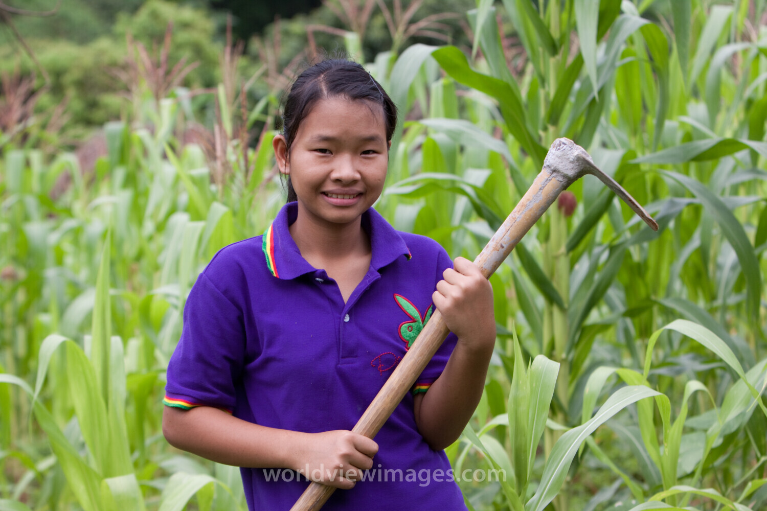 A Girl and her Hoe in Northeren Thailand