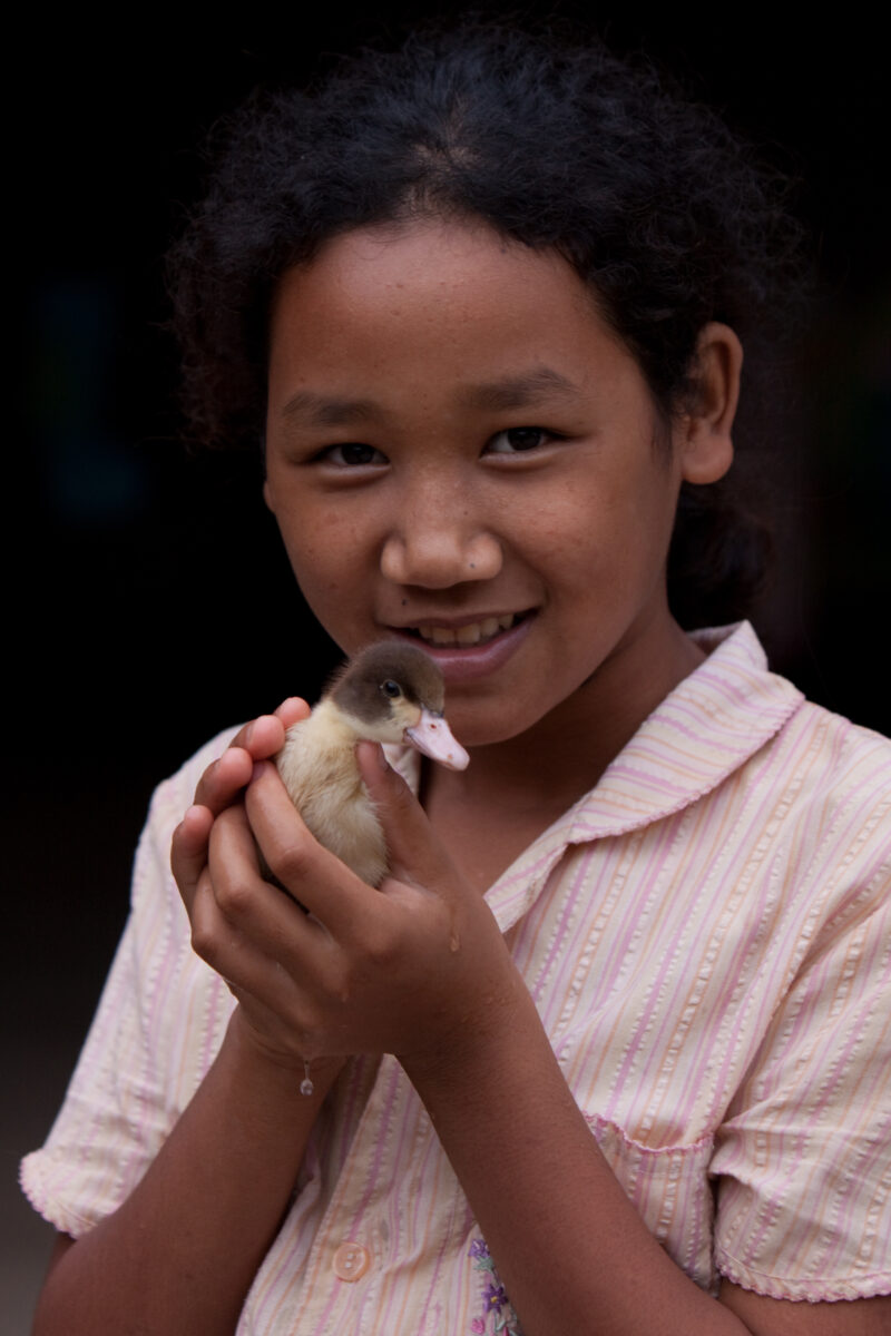 Keeping Girls Safe — Young girls in Thailand vulnerable to exploitation are protected by ADRA in a "Keep Girls Safe" program — Thailand, girl, face, duck, du...