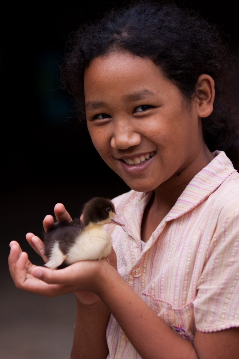 Keeping Girls Safe — Young girls in Thailand vulnerable to exploitation are protected by ADRA in a "Keep Girls Safe" program — Thailand, girl, face, duck, du...