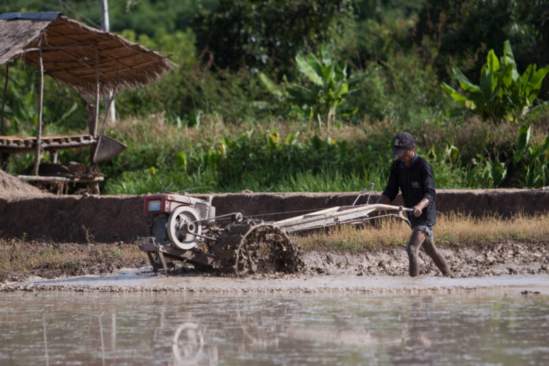 Plowing Rice Field in Thailand — Day workers prepare a rice field for planting, in Northern Thailand. — Thailand, work, day workers, field, fields