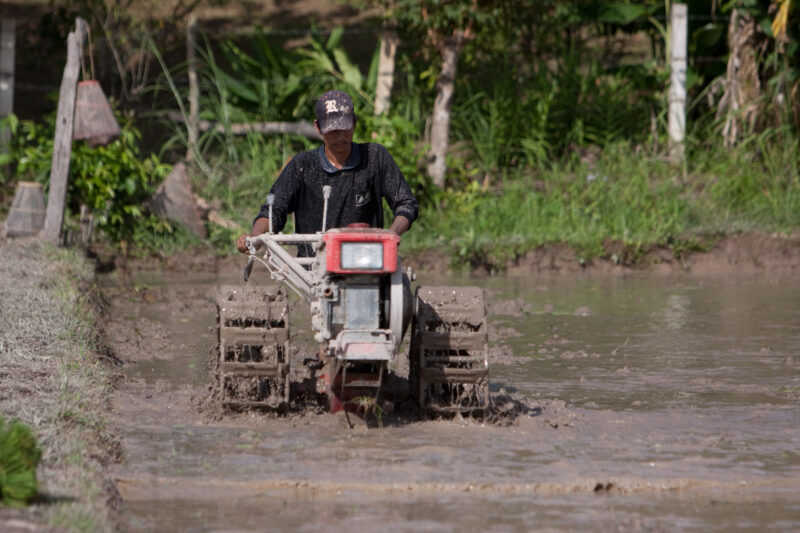 Plowing Rice Field in Thailand — Day workers prepare a rice field for planting, in Northern Thailand. — Thailand, work, day workers, field, fields