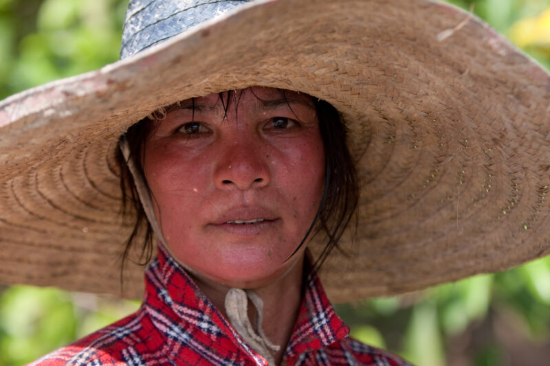 Day Worker in Thailand — Woman with sunburn from working out in the ricefields of Northern Thailand — Thailand, woman, sunburn, day worker, ethnic