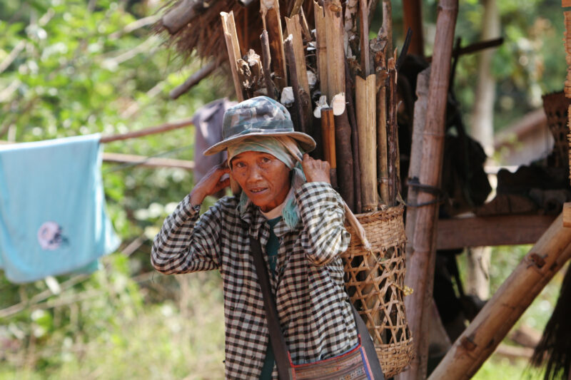 Collecting Firewood — Ethnic woman with a basket of firewood on her back, in rural Thailand — Thailand, woman, basket, firewood, ethnic