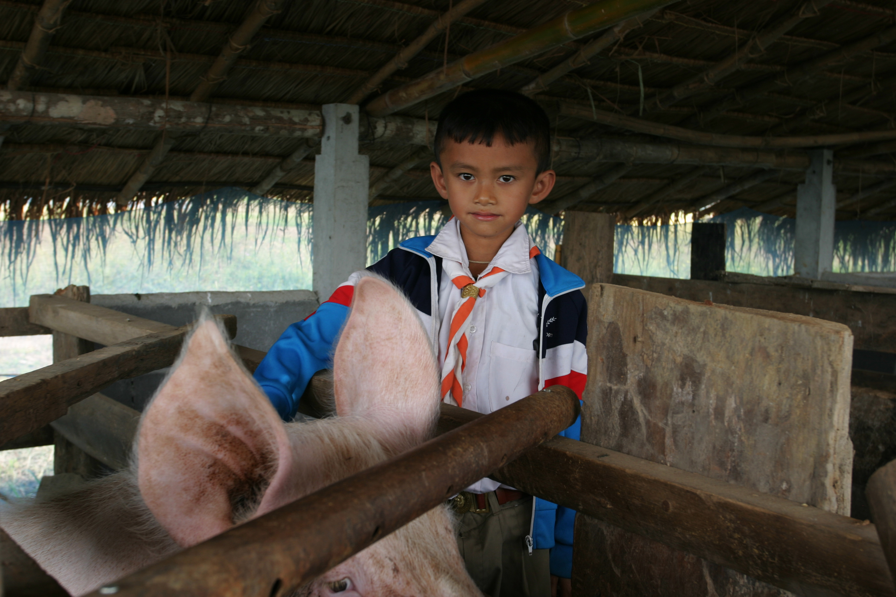 Boy in Thailand