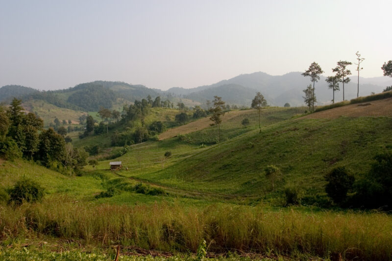 Rolling Rice fields in Northern Thailand — Beautiful scenic fields and hills of Northern Thailand — Thailand, hills, fields, scenic