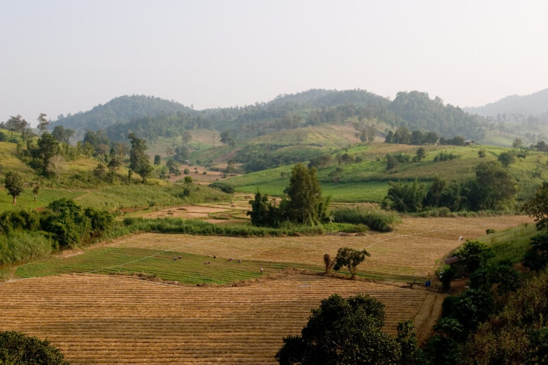 Rolling Rice fields in Northern Thailand — Beautiful scenic rice fields and hills of Northern Thailand — Thailand, hills, fields, rice, farm