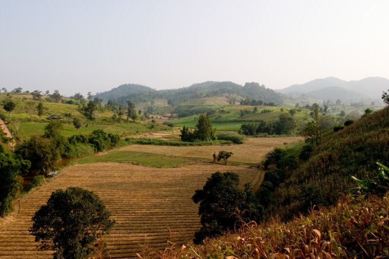 Rolling Rice fields in Northern Thailand — Beautiful scenic rice fields and hills of Northern Thailand — Thailand, hills, fields, rice, farm