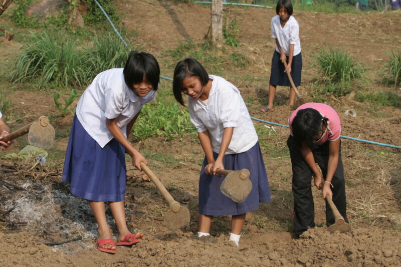 Students Work in the School Garden — Students at a bording school, work in the school garden — Thailand, hoeing, working, students, gardening