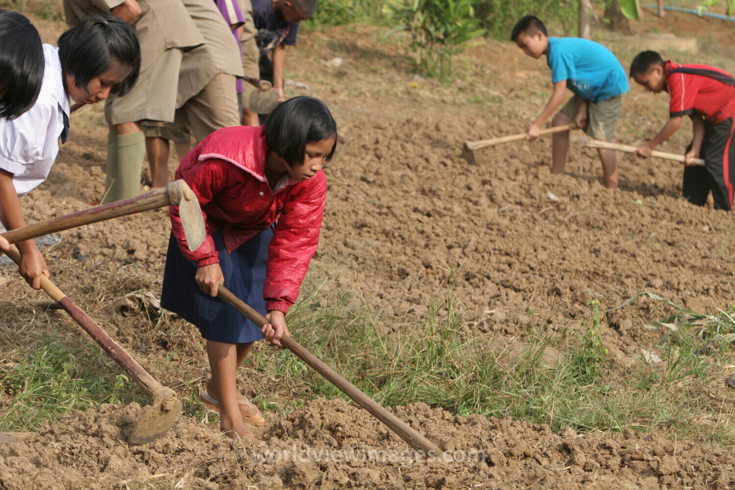 Students Work in the School Garden