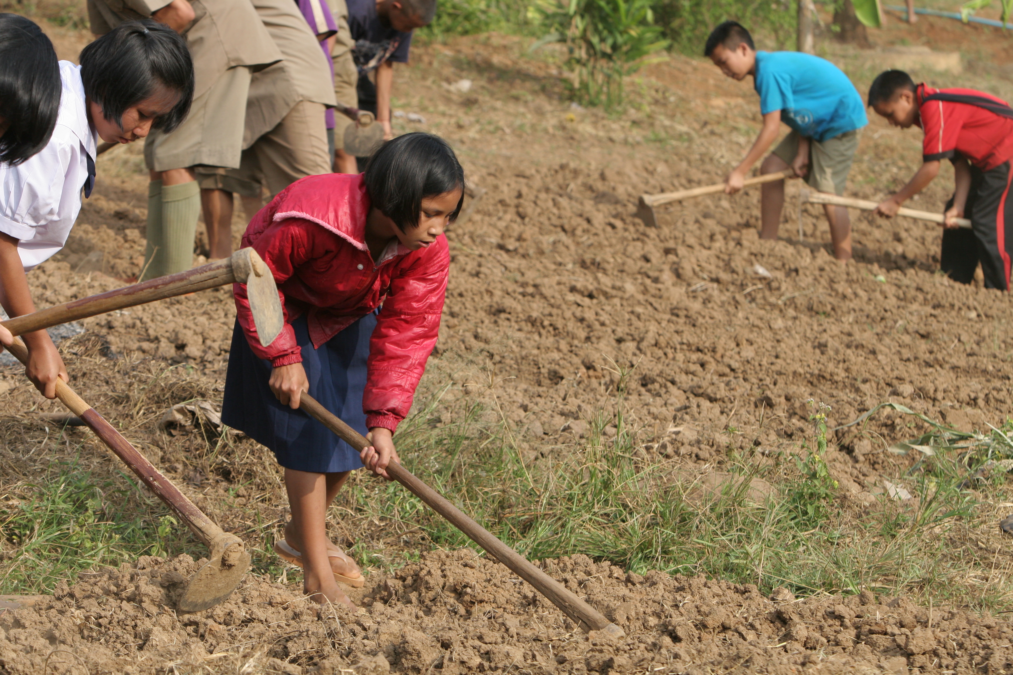 Students Work in the School Garden