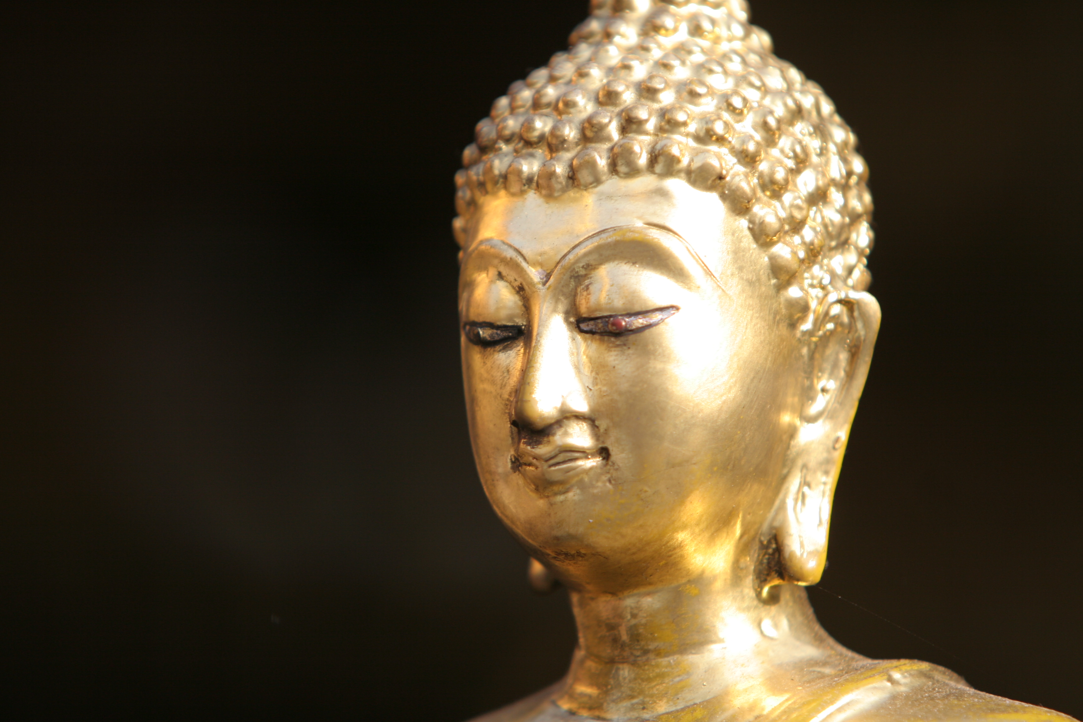 Buddhist Temple in Thailand