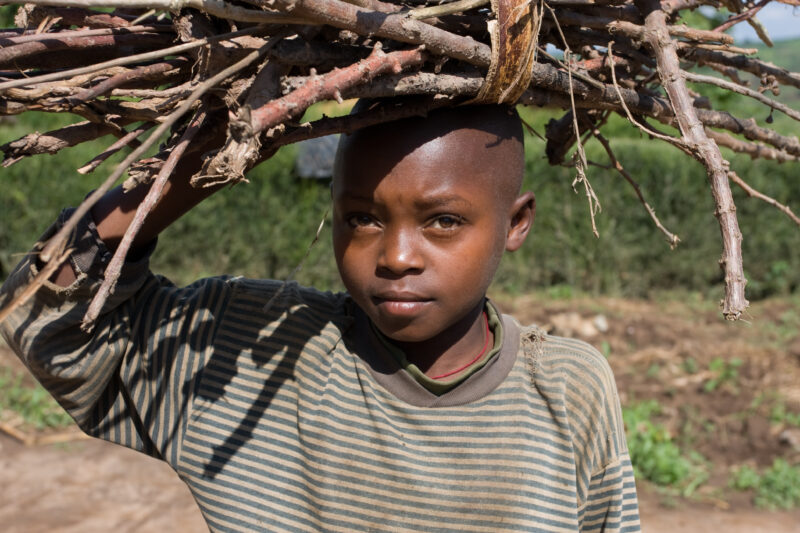 Gathering Firewood — Cooking over a fire requires that someone collect firewood every day — Africa, Rwanda, girl, firewood, children
