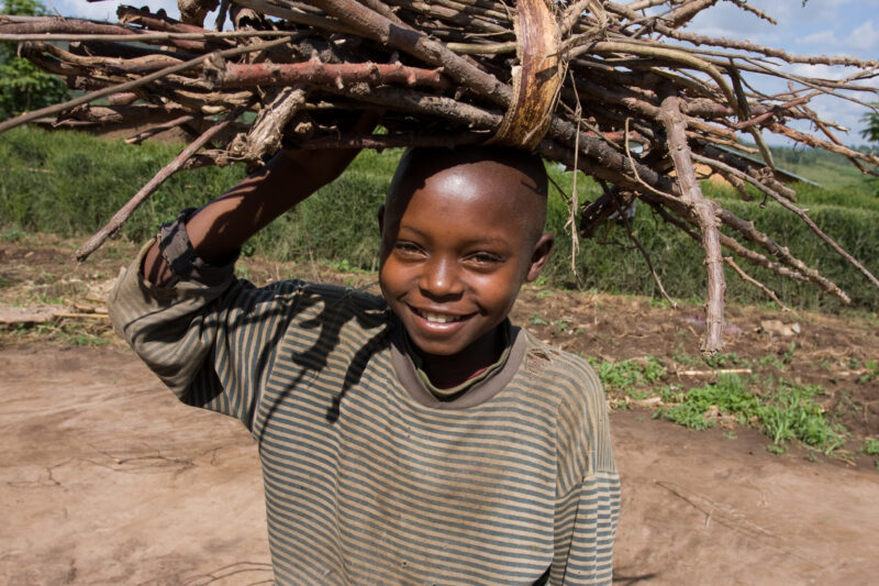 Gathering Firewood — Cooking over a fire requires that someone collect firewood every day — Africa, Rwanda, girl, firewood, children