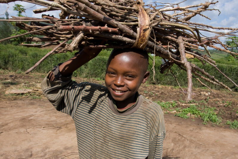 Gathering Firewood — Cooking over a fire requires that someone collect firewood every day — Africa, Rwanda, girl, firewood, children