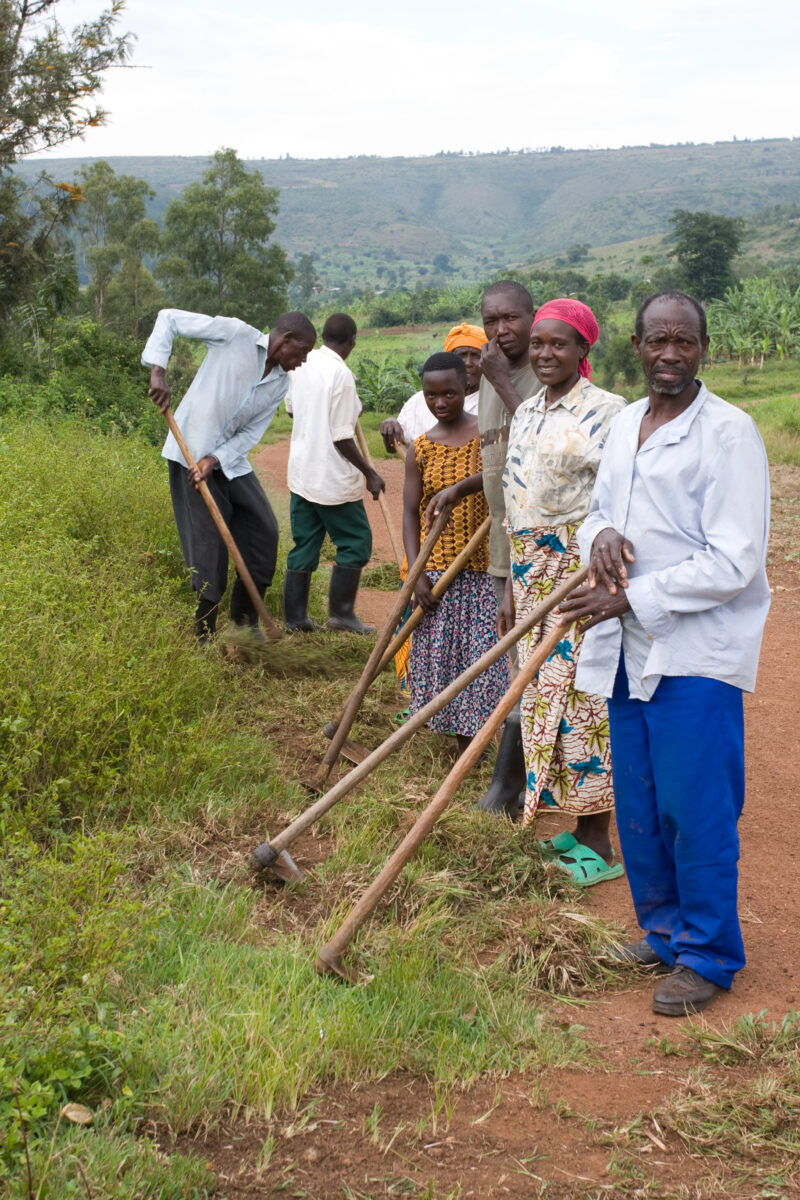 Food for Work — Villagers work on building a road in exchange for food distributions. — Africa, Rwanda, food, distributions, food for work