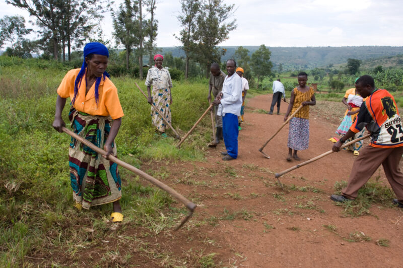 Food for Work — Villagers work on building a road in exchange for food distributions. — Africa, Rwanda, food, distributions, food for work