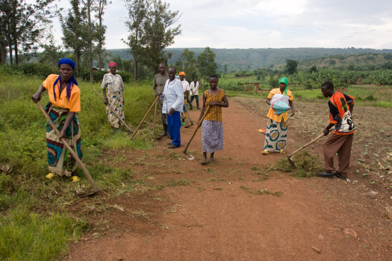 Food for Work — Villagers work on building a road in exchange for food distributions. — Africa, Rwanda, food, distributions, food for work