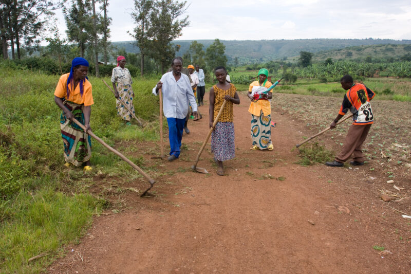 Food for Work — Villagers work on building a road in exchange for food distributions. — Africa, Rwanda, food, distributions, food for work