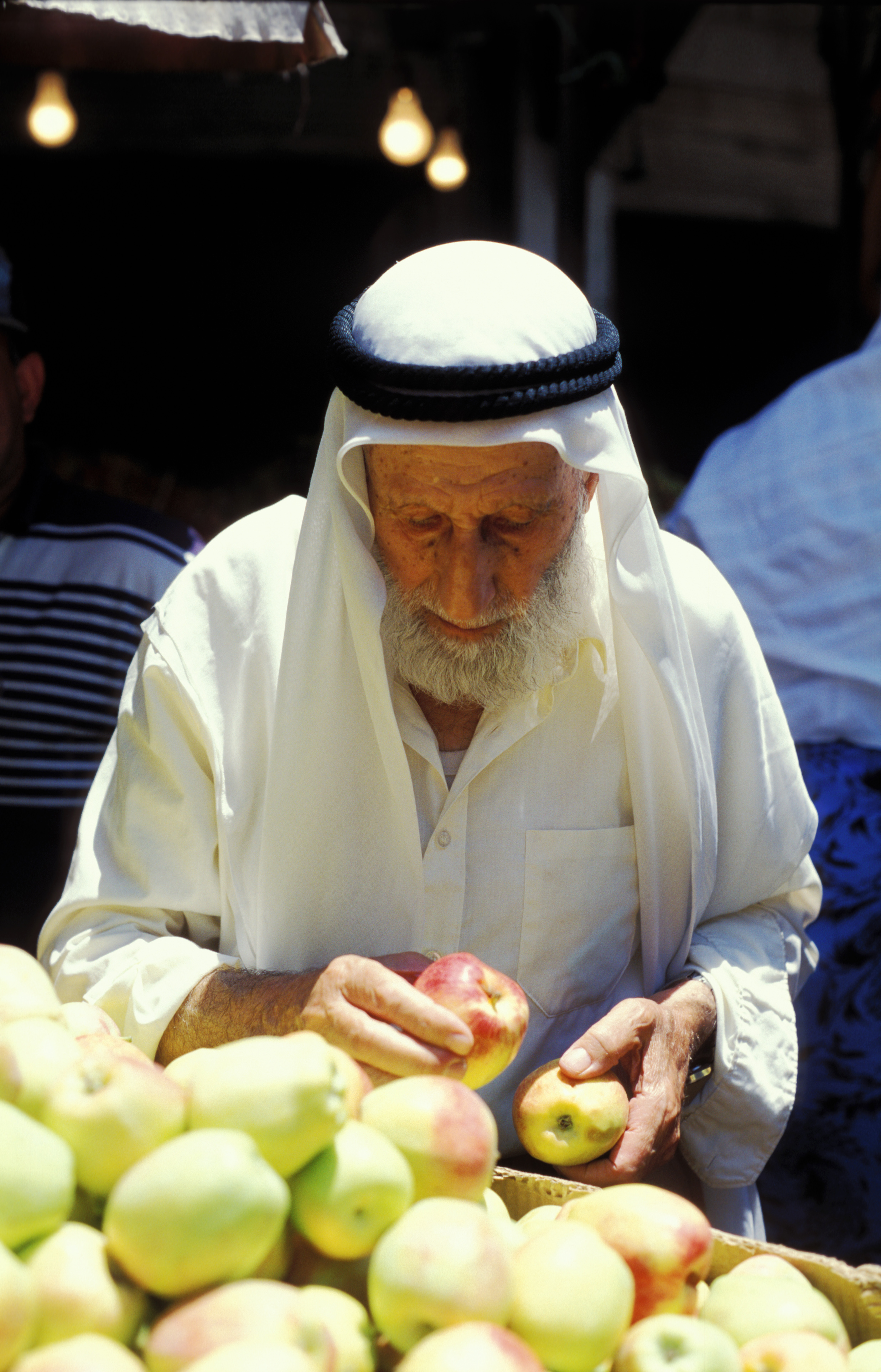 Elder Man in Jordan Picks Fruit