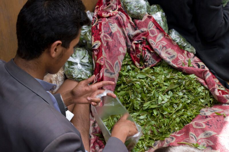 Selling Qat — qat, a mild narcotic is the addictive passion of the majority of people in Yemen. — Yemen, Qat, narcotic, chew, chewing