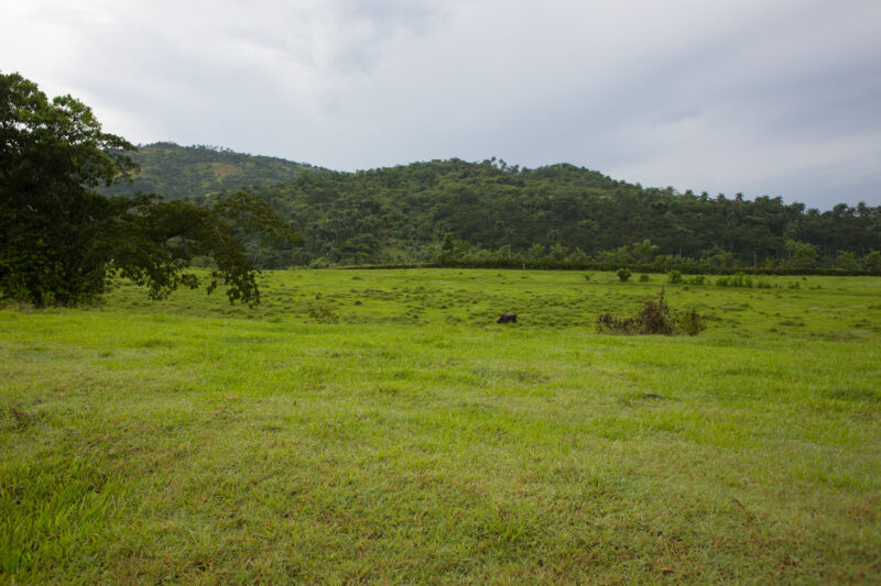 Scenic Beauty of Cuba — Beautiful landscape in Cuba — Cuba, scenic, field, fields