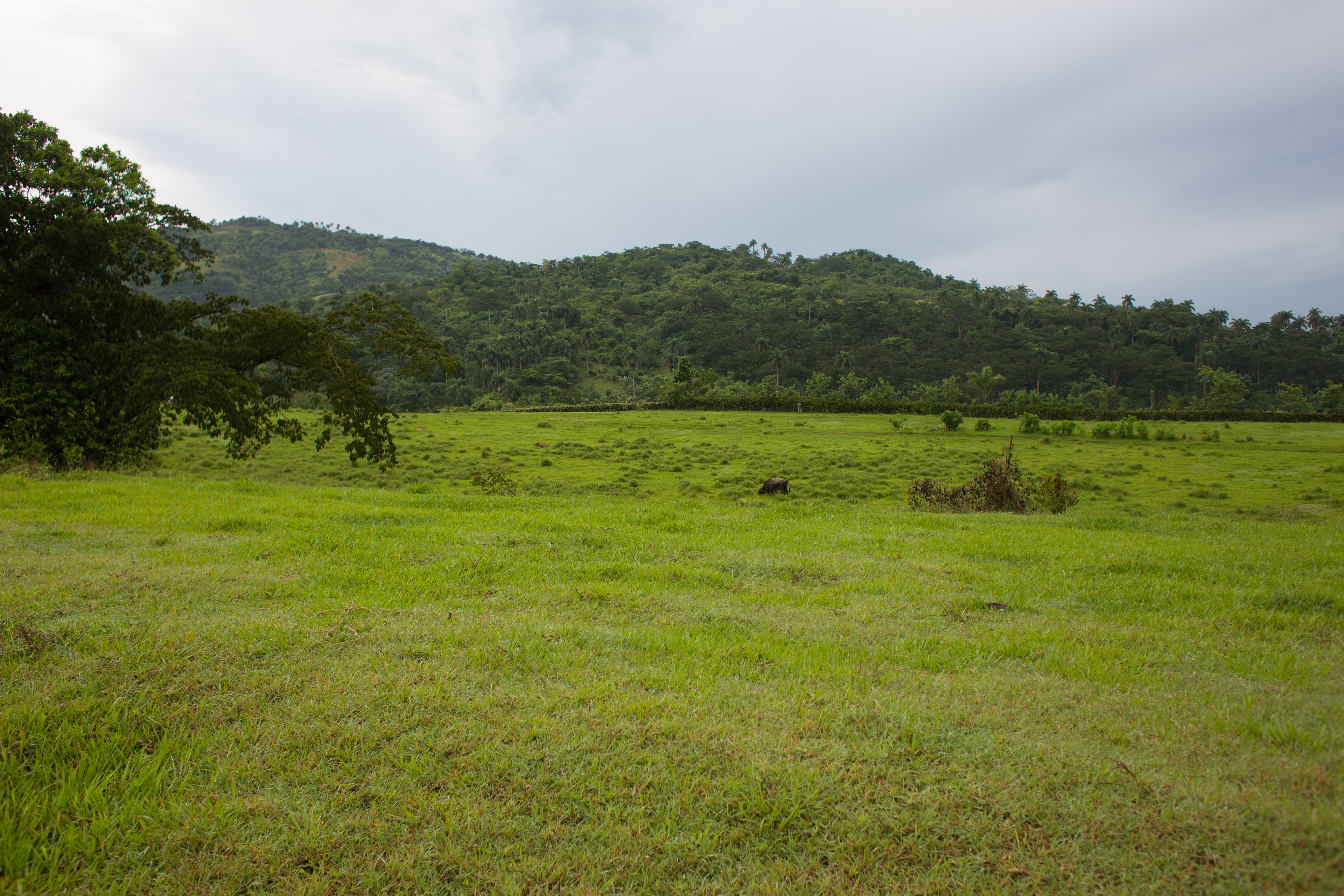 Scenic Beauty of Cuba