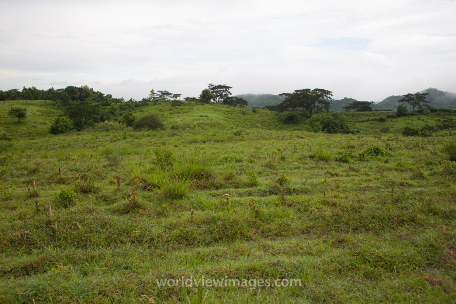 Scenic Beauty of Cuba