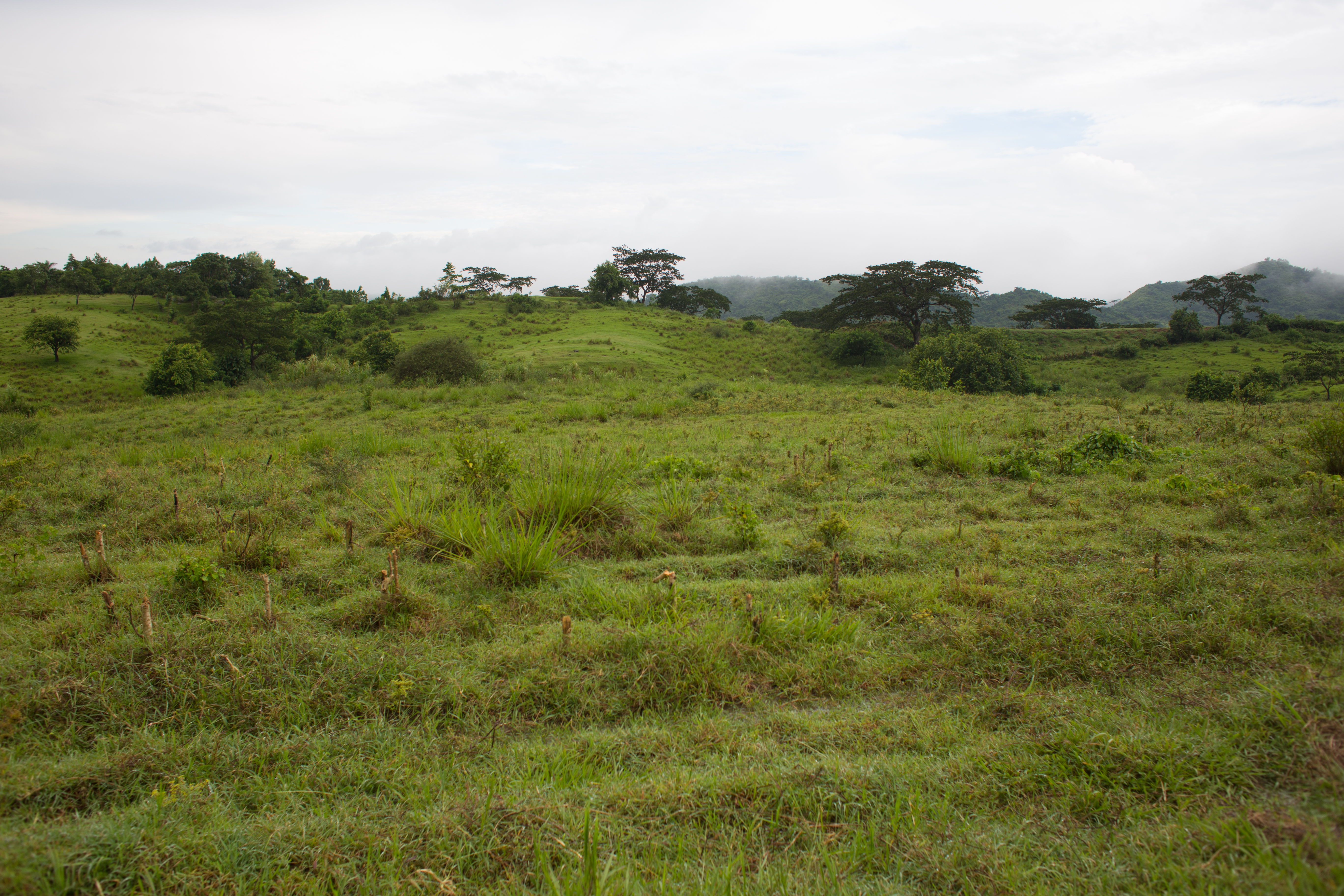 Scenic Beauty of Cuba