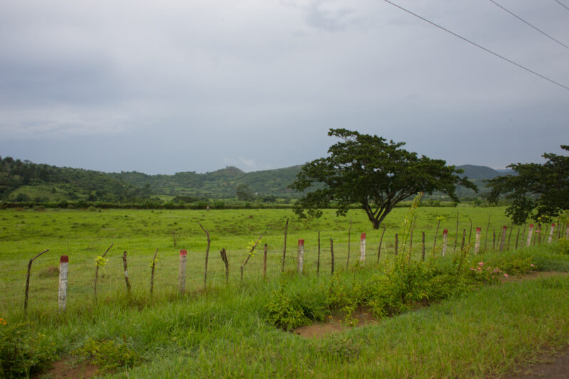 Scenic Beauty of Cuba — Beautiful landscape in Cuba — Cuba, scenic, field, fields