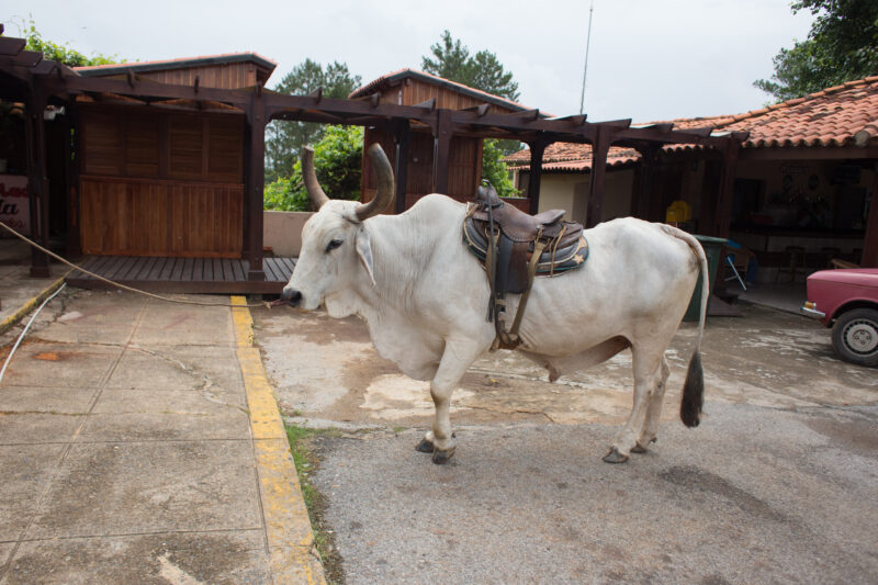 Photo: WVI_020001 — Cuba